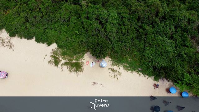 Banhistas na praia com zoom out até o encontro da floresta com a praia em 4k