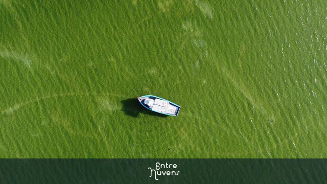 Barco - Lagoa de Monte Alto — vídeo aéreo de Arraial do Cabo