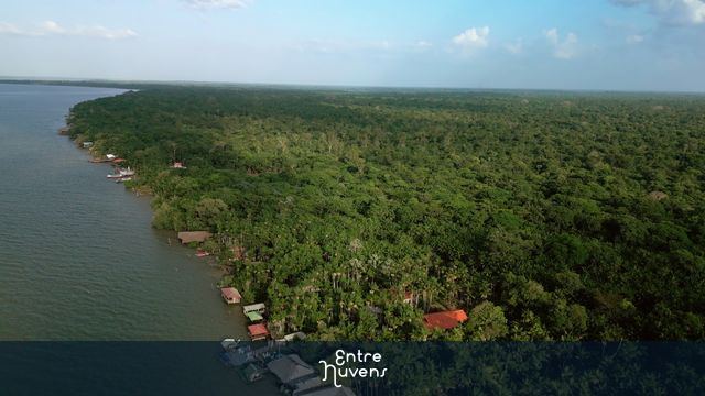 Beira do rio na floresta amazônica