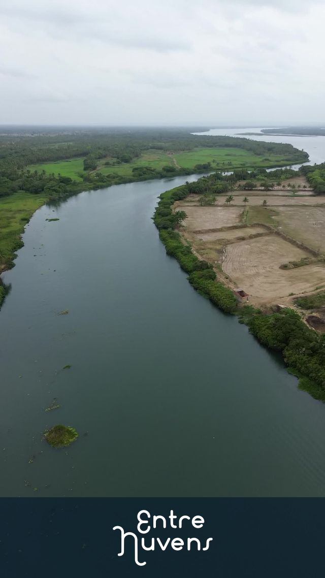 Brejo grande 
