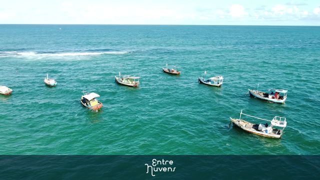 Brisa do mar em Arembepe no fim de tarde. — vídeo aéreo de Salvador