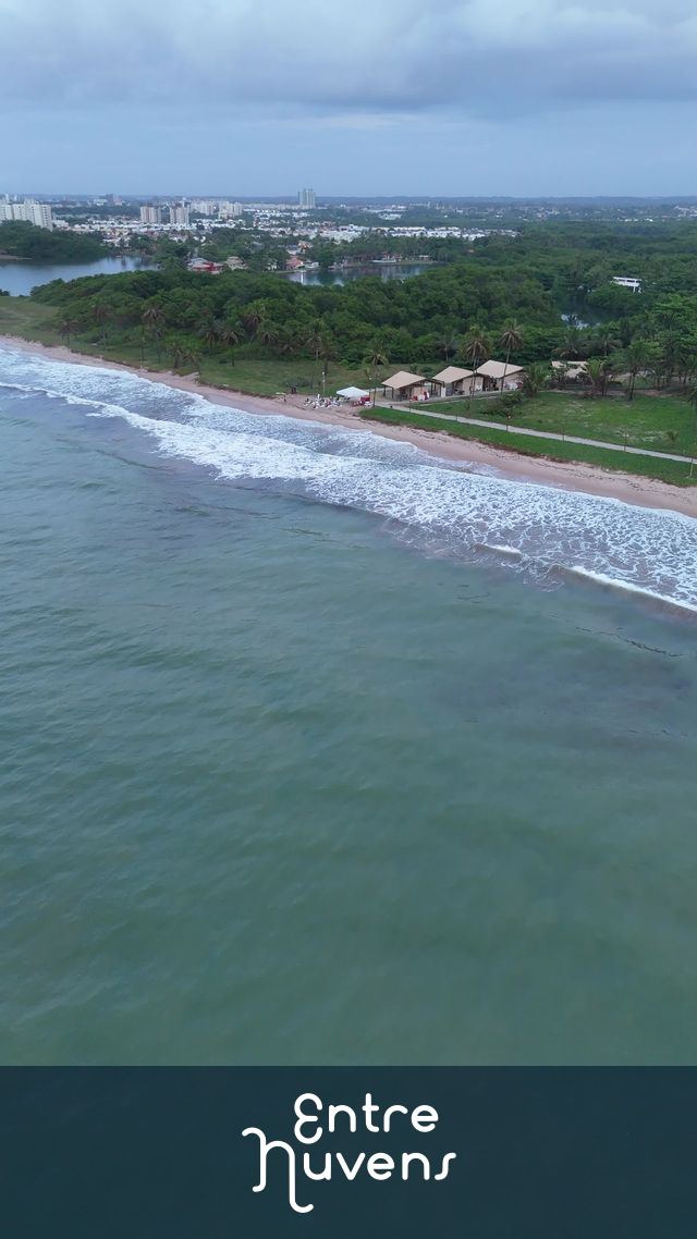 BUSCA VIDA 2