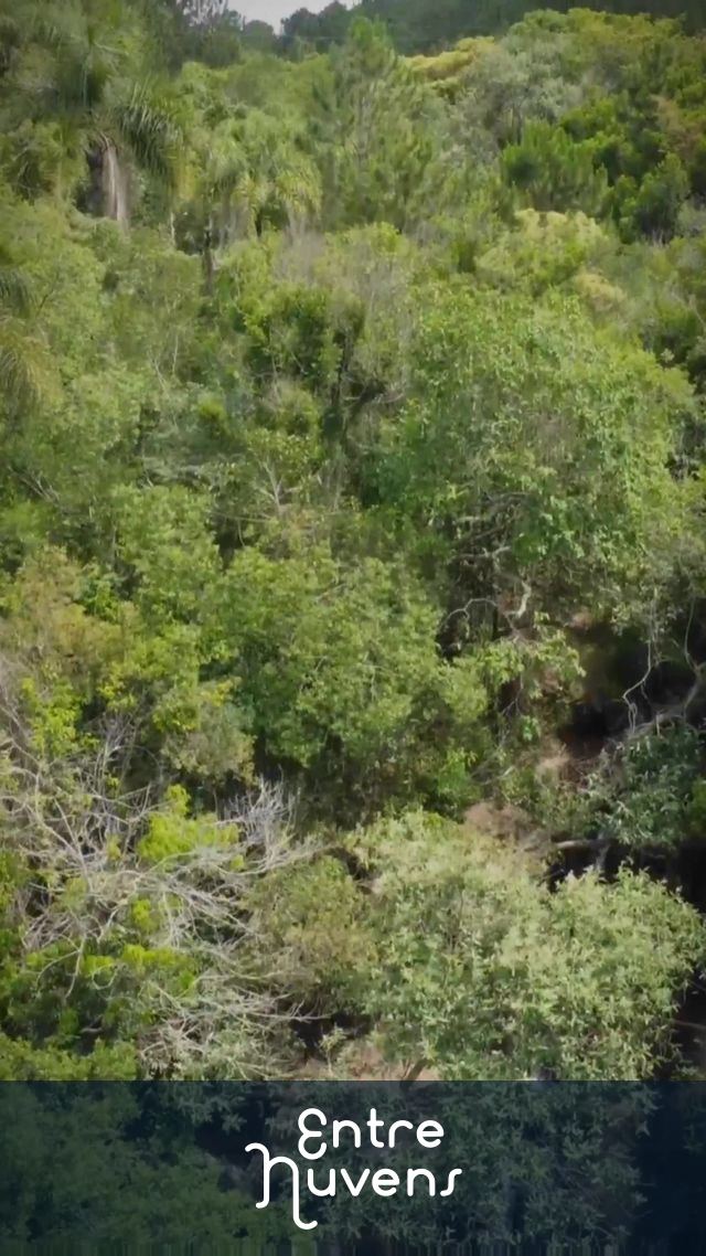 Cachoeira das Corrente — vídeo aéreo de Angatuba