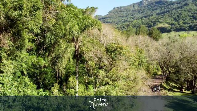 Cachoeira do Chuvisqueiro em Rolante Rio Grande do Sul