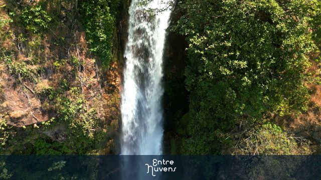 Cachoeira em meio à vegetação densa