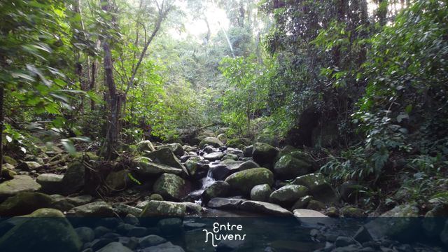 CACHOEIRA ENCANTADA - GAROPABA -SC