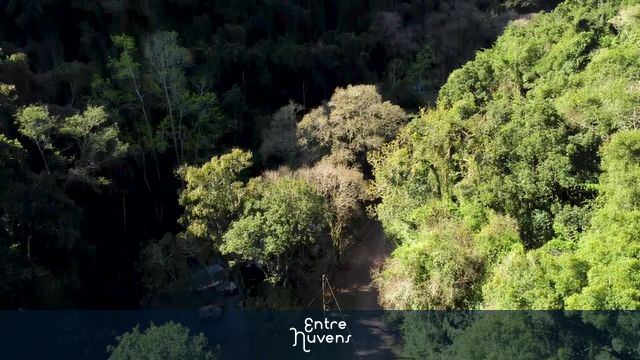 Caminhada na mata  — vídeo aéreo de Rolante