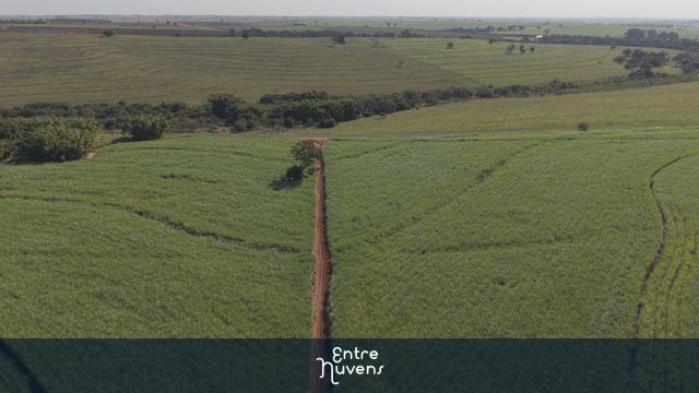 canavial altura baixa — vídeo aéreo de Birigui