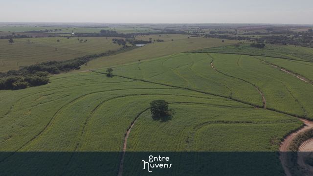canavial chegada panoramica — vídeo aéreo de Birigui