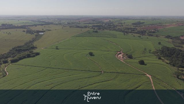 canavial panoramica — vídeo aéreo de Birigui