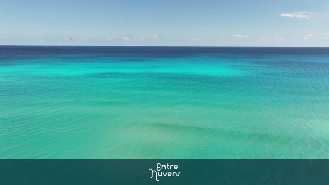 CANCUN PLAYA DELFINES