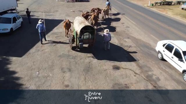 Carro de boi — vídeo aéreo de Araçu