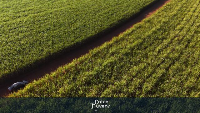 Carro em estrada de terra entre plantações — vídeo aéreo de Santa Bárbara d'Oeste