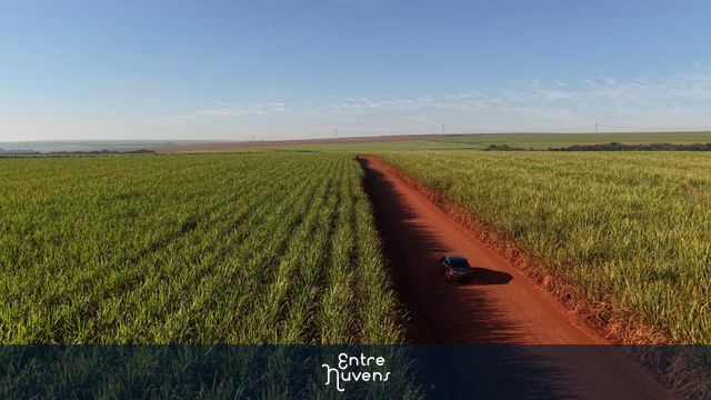 Carro na estrada de terra entre canaviais — vídeo aéreo de Santa Bárbara d'Oeste