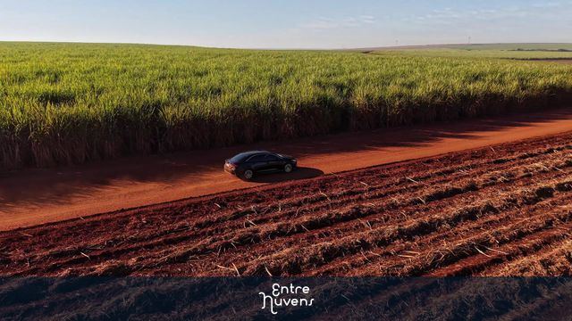 Carro na estrada entre lavouras de cana — vídeo aéreo de Santa Bárbara d'Oeste