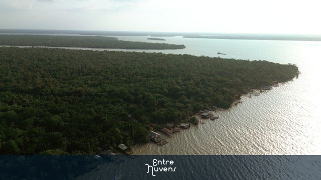 Casas ribeirinhas na floresta amazônica — vídeo aéreo de Belém