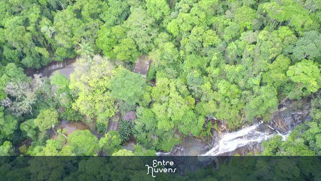 Cascatinha Taunay 2, Parque Nacional da Tijuca.