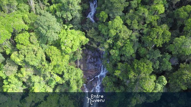 Cascatinha Taunay, Parque Nacional da Tijuca
