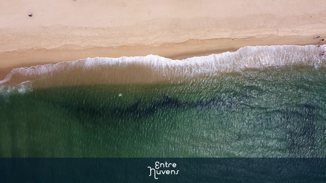 Cena pacífica de ondas do mar verde na areia da praia. Birdeye aéreo, dolly para esquerda
