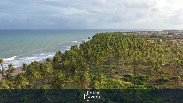 Cocais e mar em praia paradisíaca — vídeo aéreo de Mata de São João