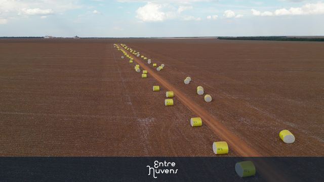 COLHEITA ALGODÃO MATO GROSSO — vídeo aéreo de Sorriso
