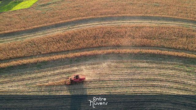 Colheita de Milho — vídeo aéreo de Terra Boa