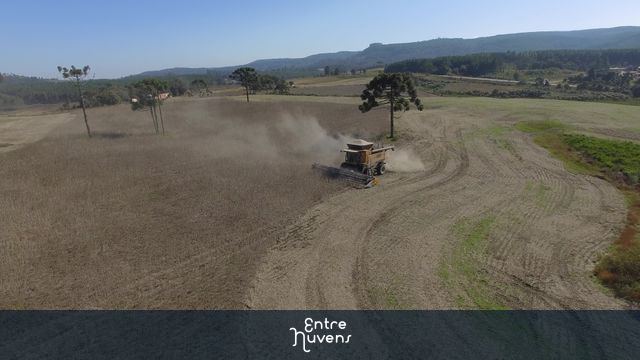 Colheita de soja Santa Catarina  — vídeo aéreo de São Cristóvão do Sul