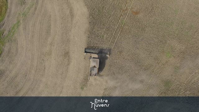 Colheita de soja vista de cima — vídeo aéreo de São Cristóvão do Sul