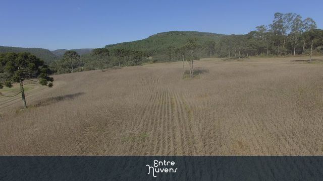 Colheita Soja vista de trás  — vídeo aéreo de São Cristóvão do Sul