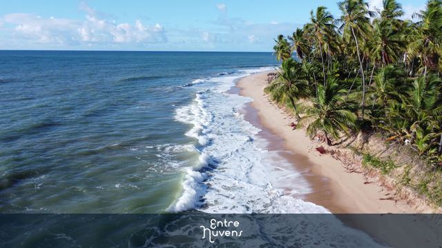 Coqueiros da Bahia 3 e Praia — vídeo aéreo de Mata de São João