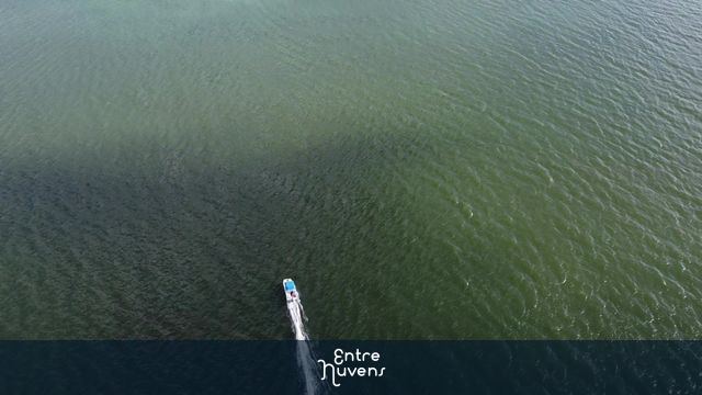 Coroa do Avião - Ilha de Itamaracá