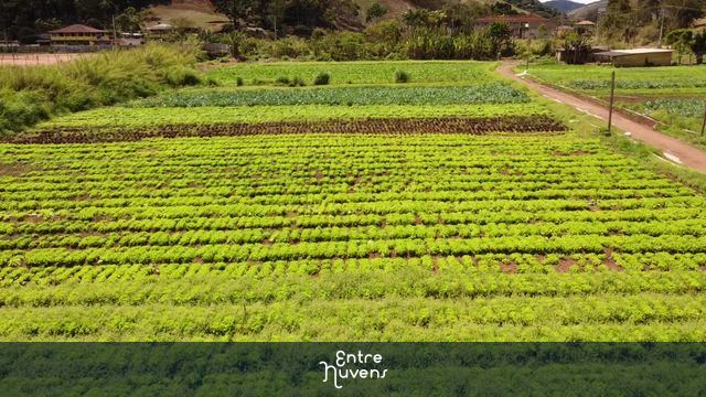 cultivo orgânico — vídeo aéreo de Teresópolis