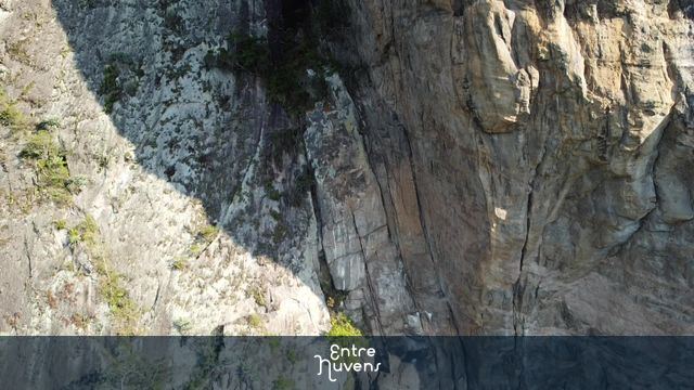 Detalhes da montanha, João Antônio, Parque Nacional da Tijuca.