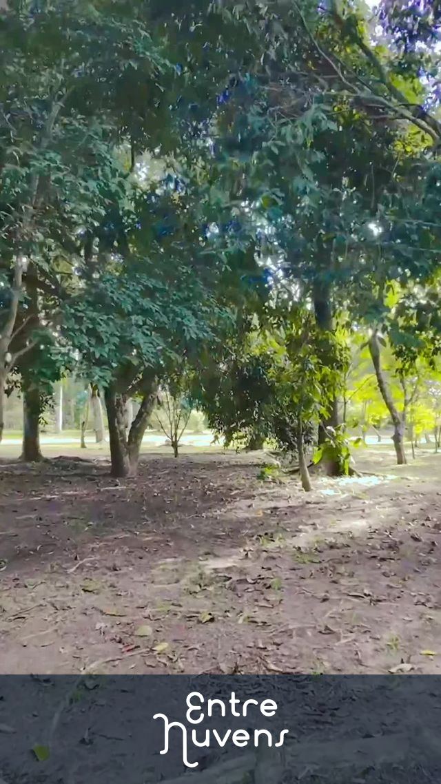DJI NEO em ação — vídeo aéreo de Itaquaquecetuba