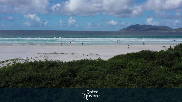 Drone baixo passa por cima de vegetação nativa e revela a Praia do Forte em Cabo Frio RJ