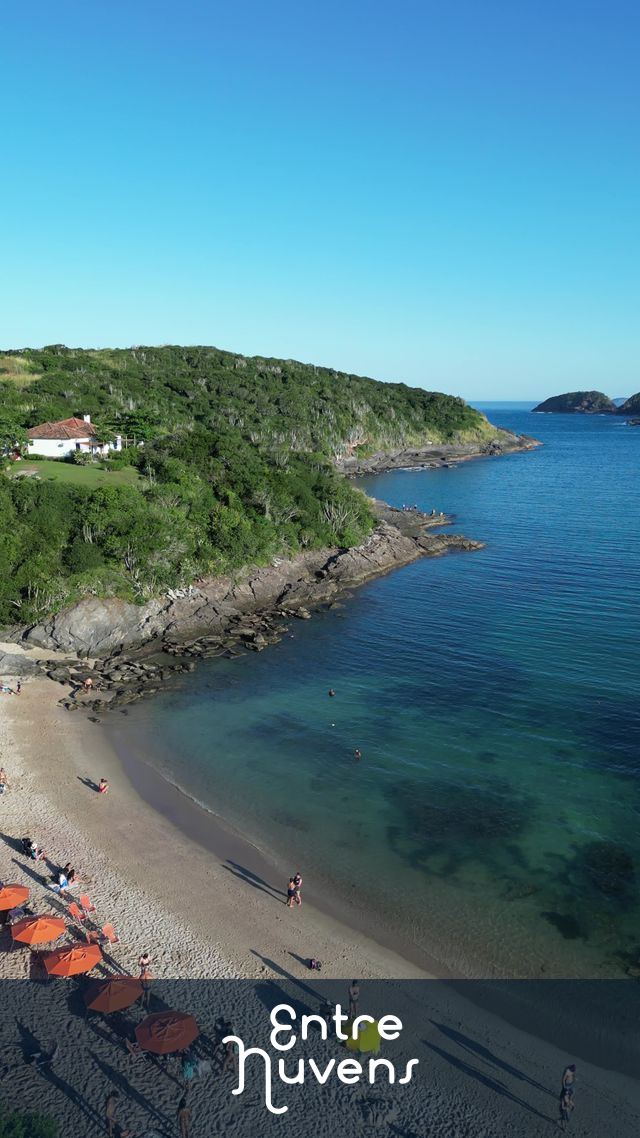 Drone sobrevoa árvores revelando a Praia do Forno em Búzios, RJ, destacando o morro e o mar — vídeo aéreo de Armação dos Búzios