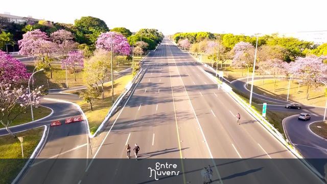 Eixão de Brasília com seus ipês rosa