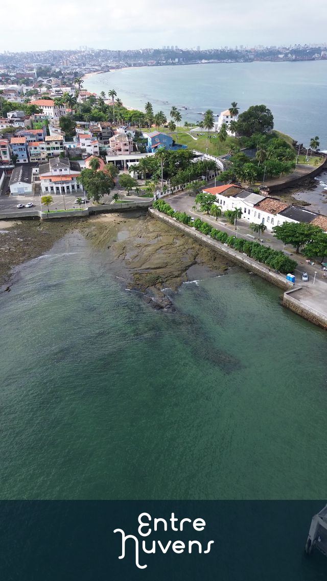 Enseada costeira com casas e coqueiros 