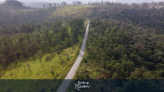 Estrada cênica no meio da natureza: vista aérea espetacular — vídeo aéreo de Araçariguama