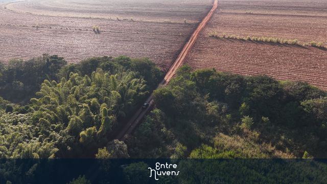 Estrada de terra cortando a plantação — vídeo aéreo de Santa Bárbara d'Oeste