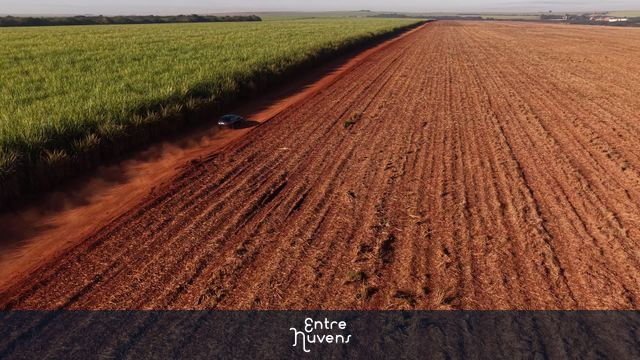 Estrada de terra dividindo plantações vastas — vídeo aéreo de Santa Bárbara d'Oeste