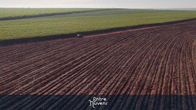 Estrada de terra entre lavouras verdes — vídeo aéreo de Santa Bárbara d'Oeste