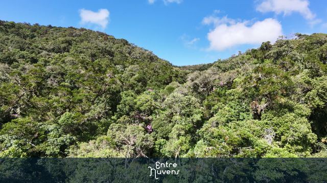 Exploração da Mata Atlântica: Imersão na Natureza Brasileira — vídeo aéreo de São Bento do Sapucaí