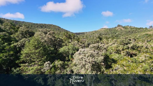 Explorando a Mata Atlântica: Natureza Intocada e Paisagens Incríveis — vídeo aéreo de São Bento do Sapucaí