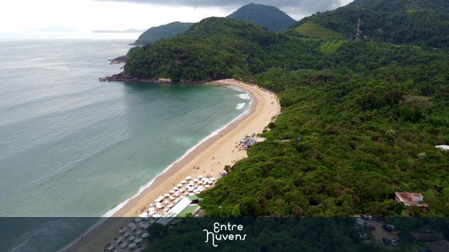 Faixa de areia de praia paradisíaca ao lado da mata atlântica em 4k
