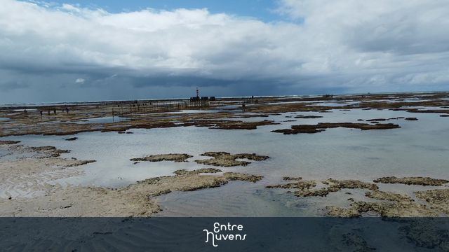 Farol da Ponta Verde em Maceió na maré baixa
