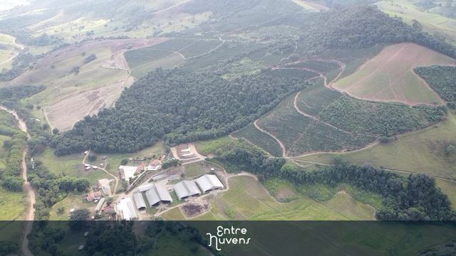 Fazenda de café e leite no Sul de Minas — vídeo aéreo de Natércia