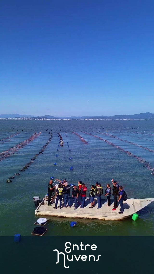 Fazenda marinha  — vídeo aéreo de Florianópolis