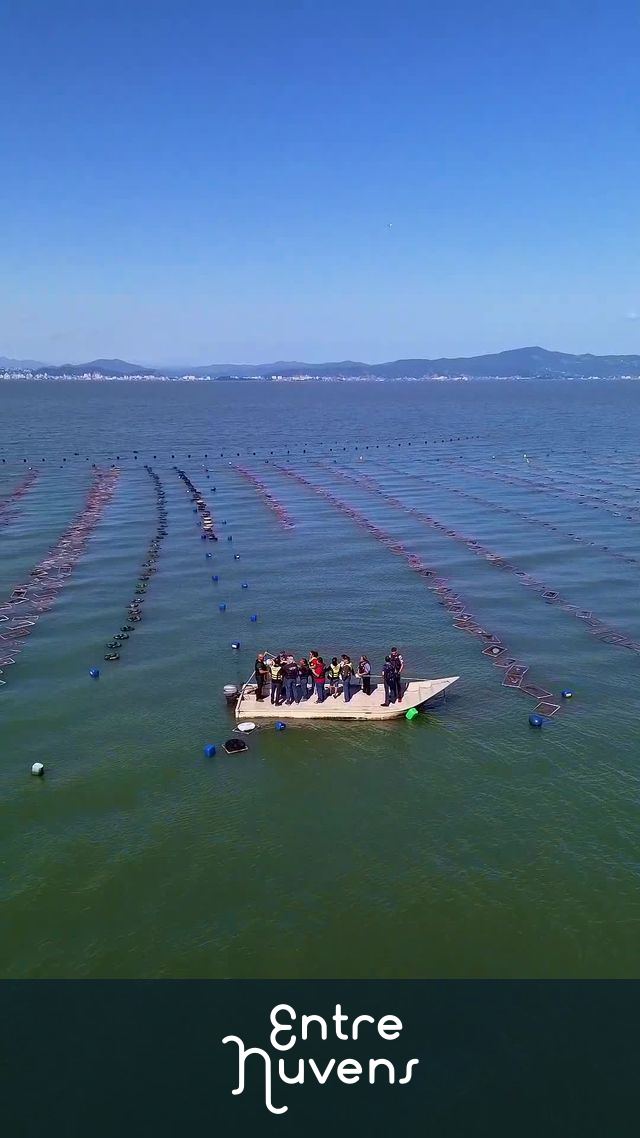 Fazenda marinha  — vídeo aéreo de Florianópolis