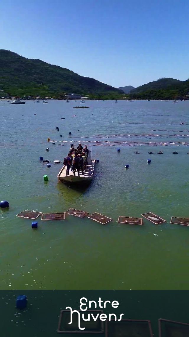 Fazenda marinha  — vídeo aéreo de Florianópolis